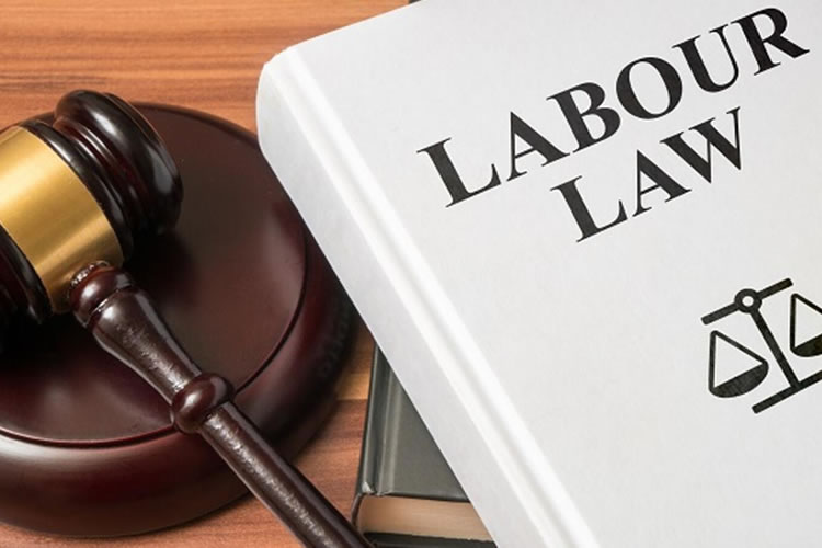 Labour and Industrial Law